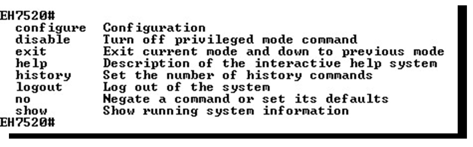 Figure4.3-Commands_in_the_Privileged_Mode